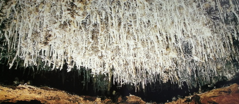 пещера соплао
