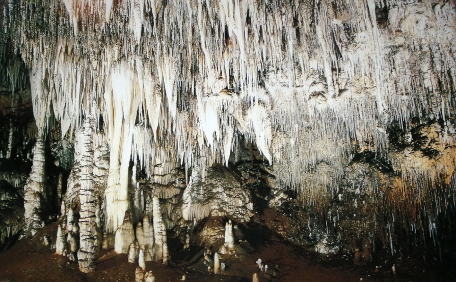 пещера соплао